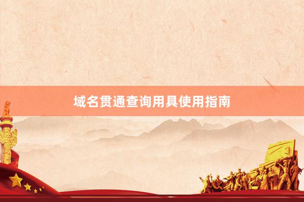 域名贯通查询用具使用指南