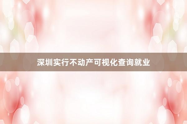 深圳实行不动产可视化查询就业