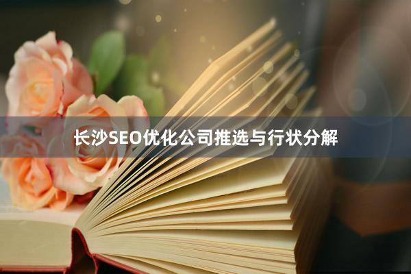 长沙SEO优化公司推选与行状分解