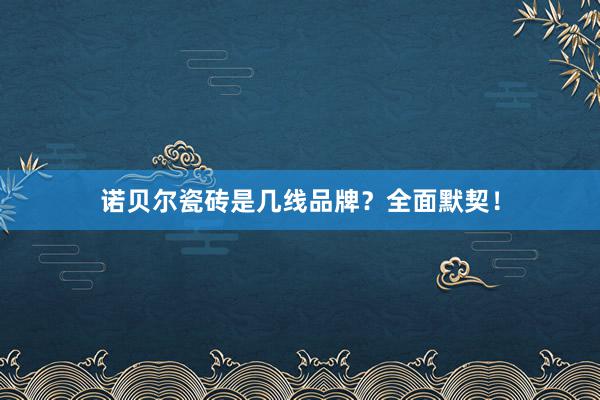 诺贝尔瓷砖是几线品牌？全面默契！