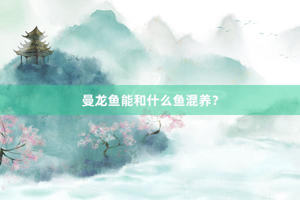 曼龙鱼能和什么鱼混养？