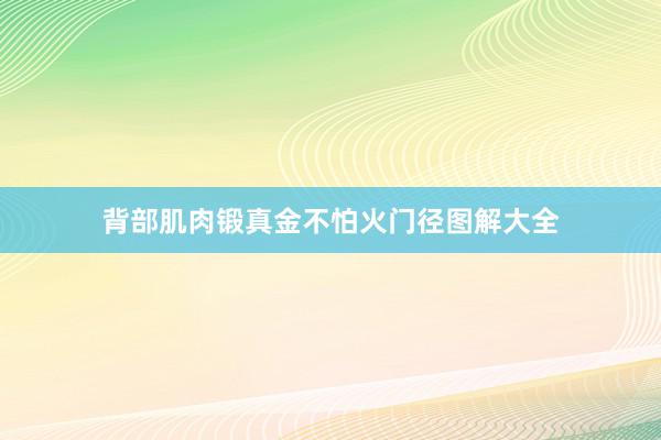 背部肌肉锻真金不怕火门径图解大全
