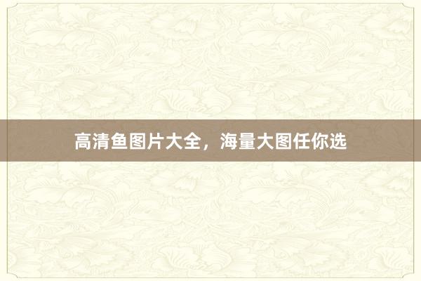 高清鱼图片大全，海量大图任你选